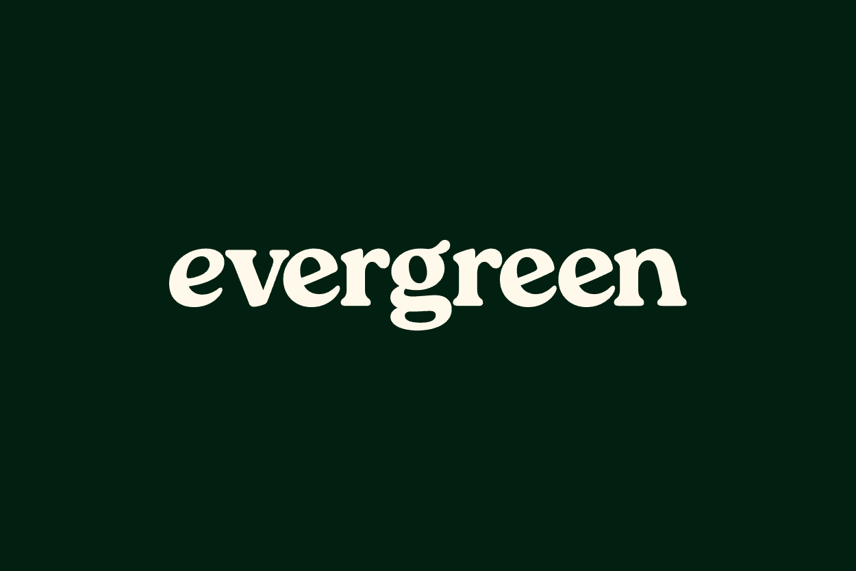 Digitaler Asset-Manager Evergreen startet Vermögensverwaltung für Drittanbieter